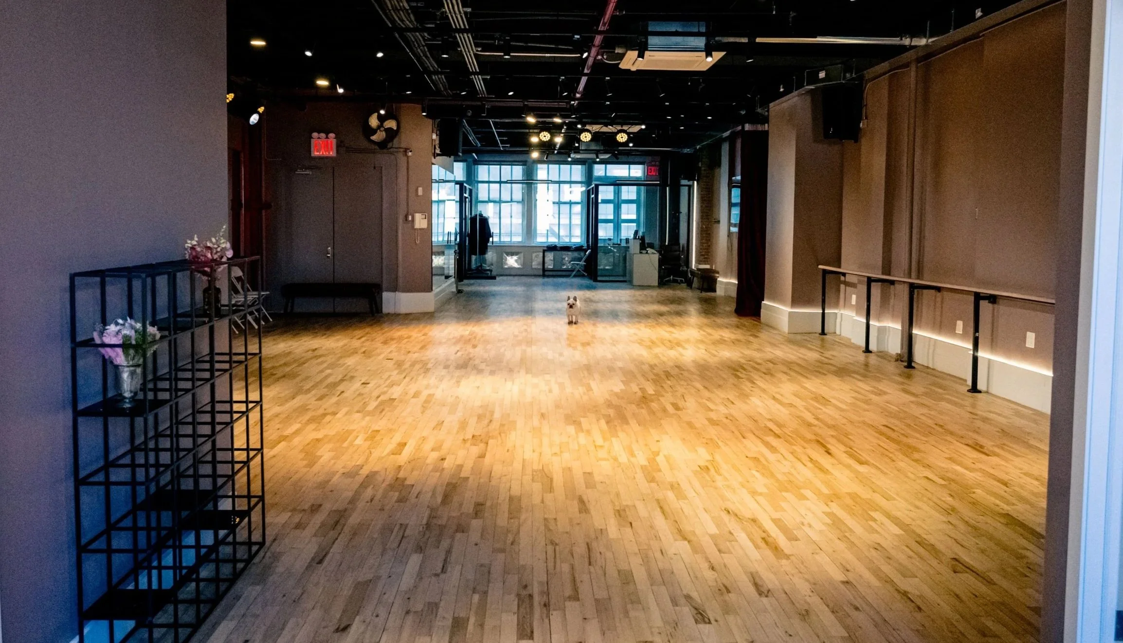 Studio Rentals